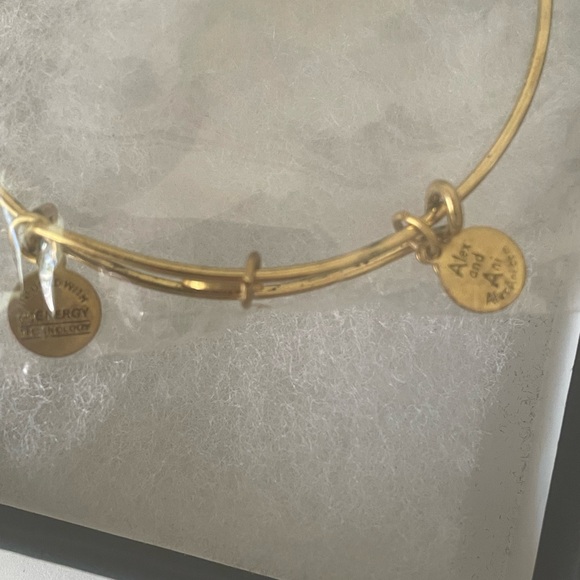 Alex and Ani Gold Tone Infused Energy Bracelet  NEW IN BOX - Picture 5 of 8